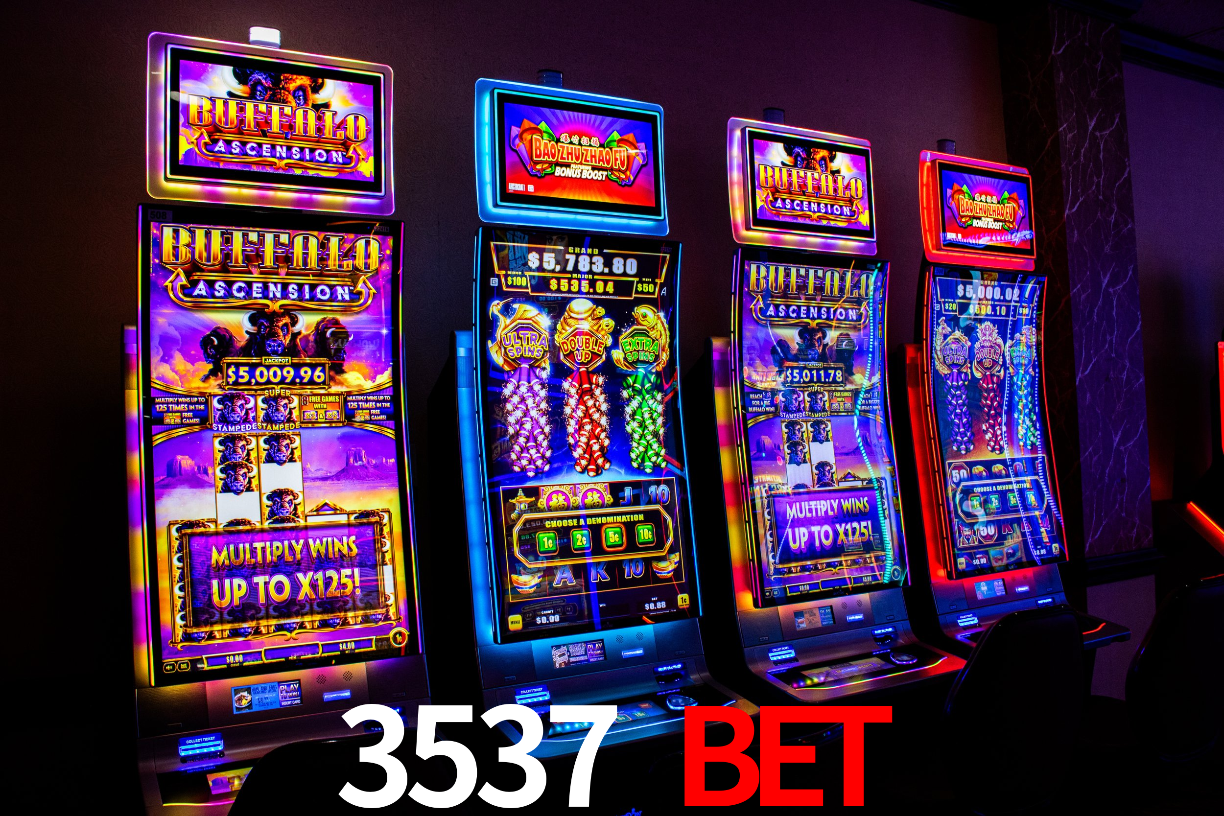 3537 Bet,3537Bet.Com